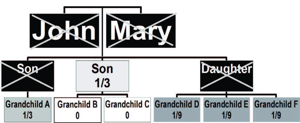 A family tree with John and Mary at the top and three branches for their children. Son one branches off with one grandchild, Son two branches off with two grandchildren, and Daughter one branches off with three granchildren.