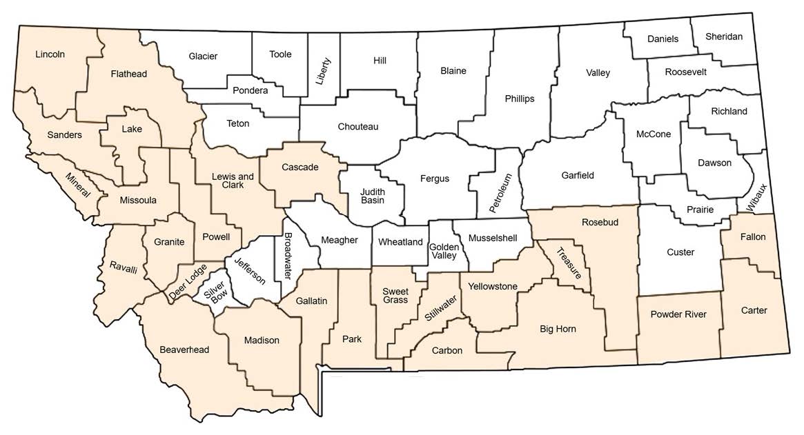 A map of Montana with the counties broken up by black lines. The counties colored yellow are the ones where ventenata has been reported. The majority of yellow counties are located in the western and southernn most parts of the state.