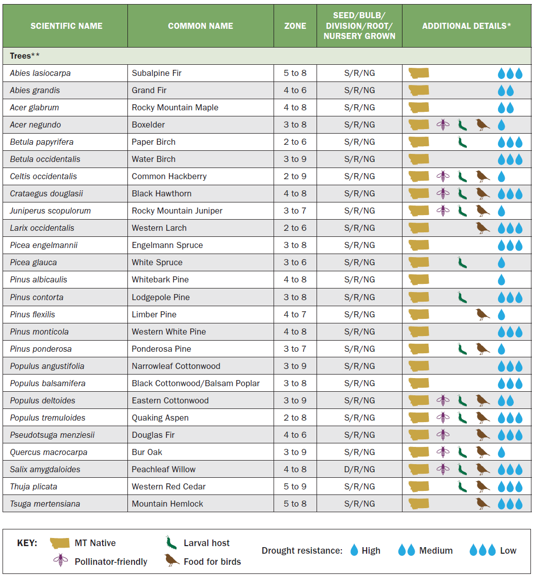 a chart describing native plants