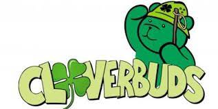 Cloverbud bear