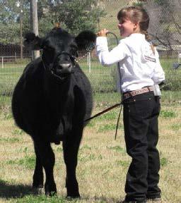 Judge walking towards front of animal