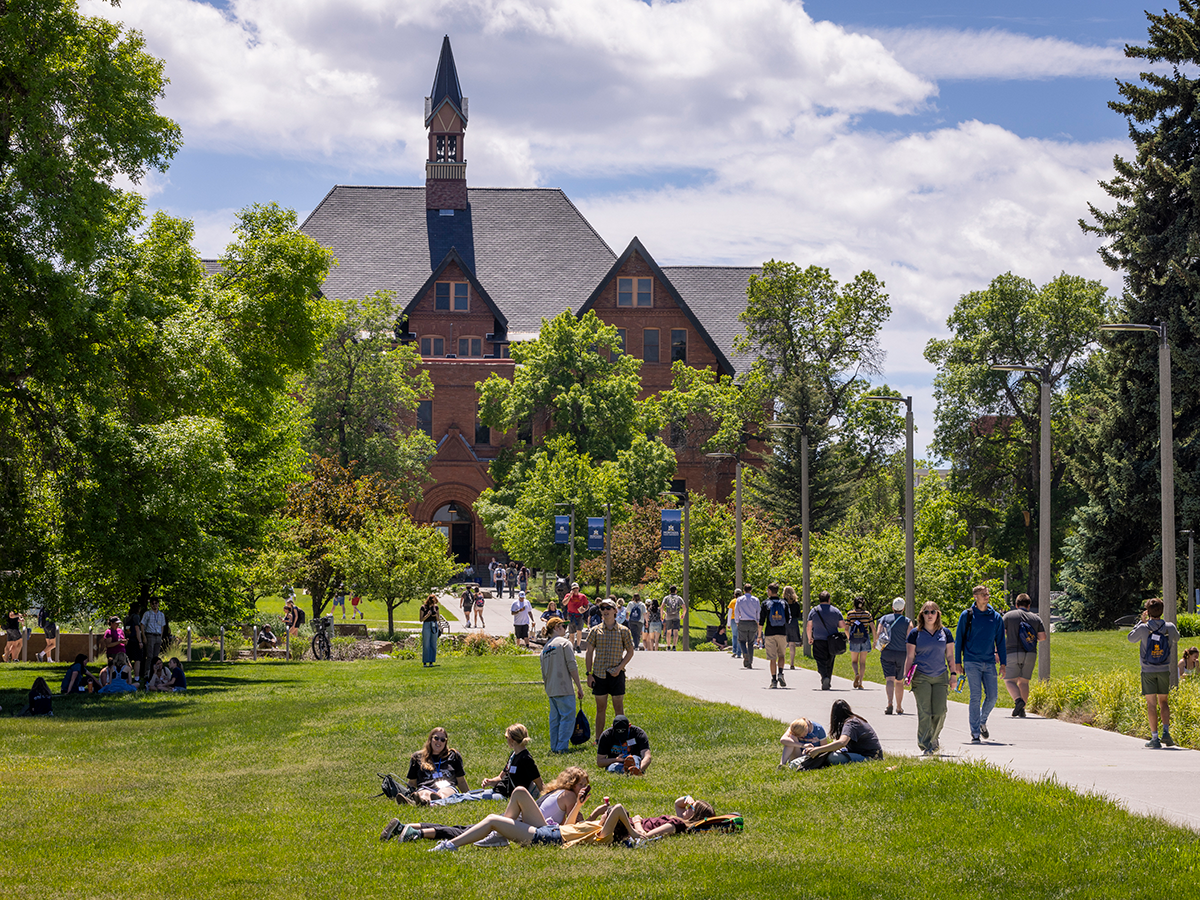 A grassy courtyard area with students laying in the grass studying. There is a paved walkway through the middle leading to a brick building