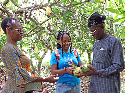 Visiting a Nigerian cocoa plantation