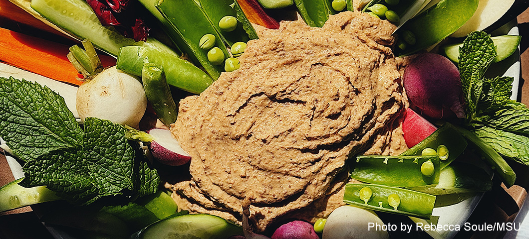 tepary bean and roasted garlic hummus on a plate with vegetables