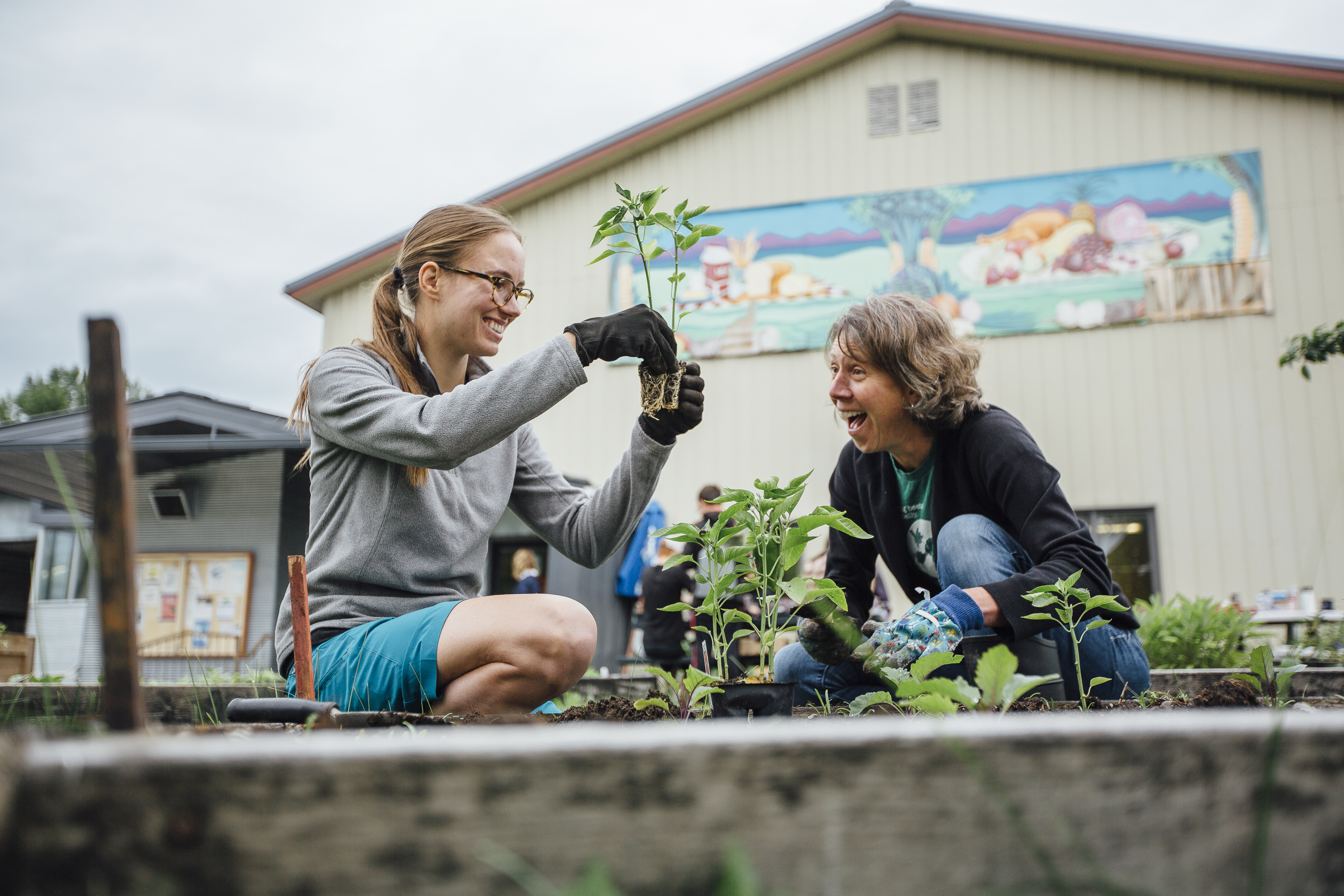 Sustainable Food and Bioenergy Systems student
