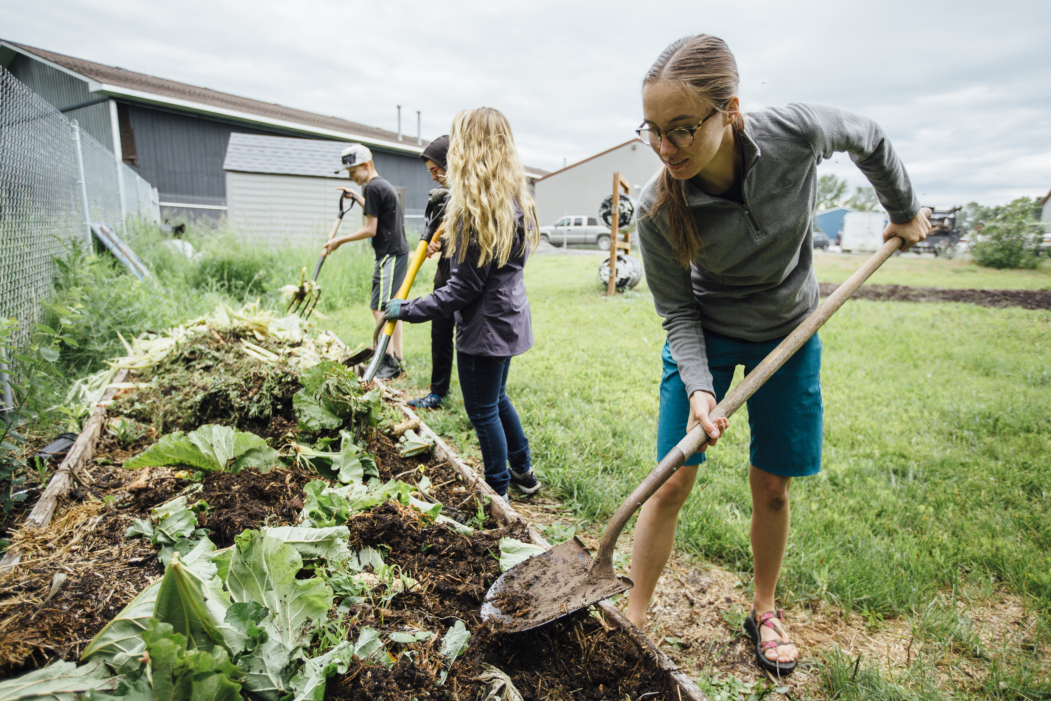 Sustainable Food Systems research