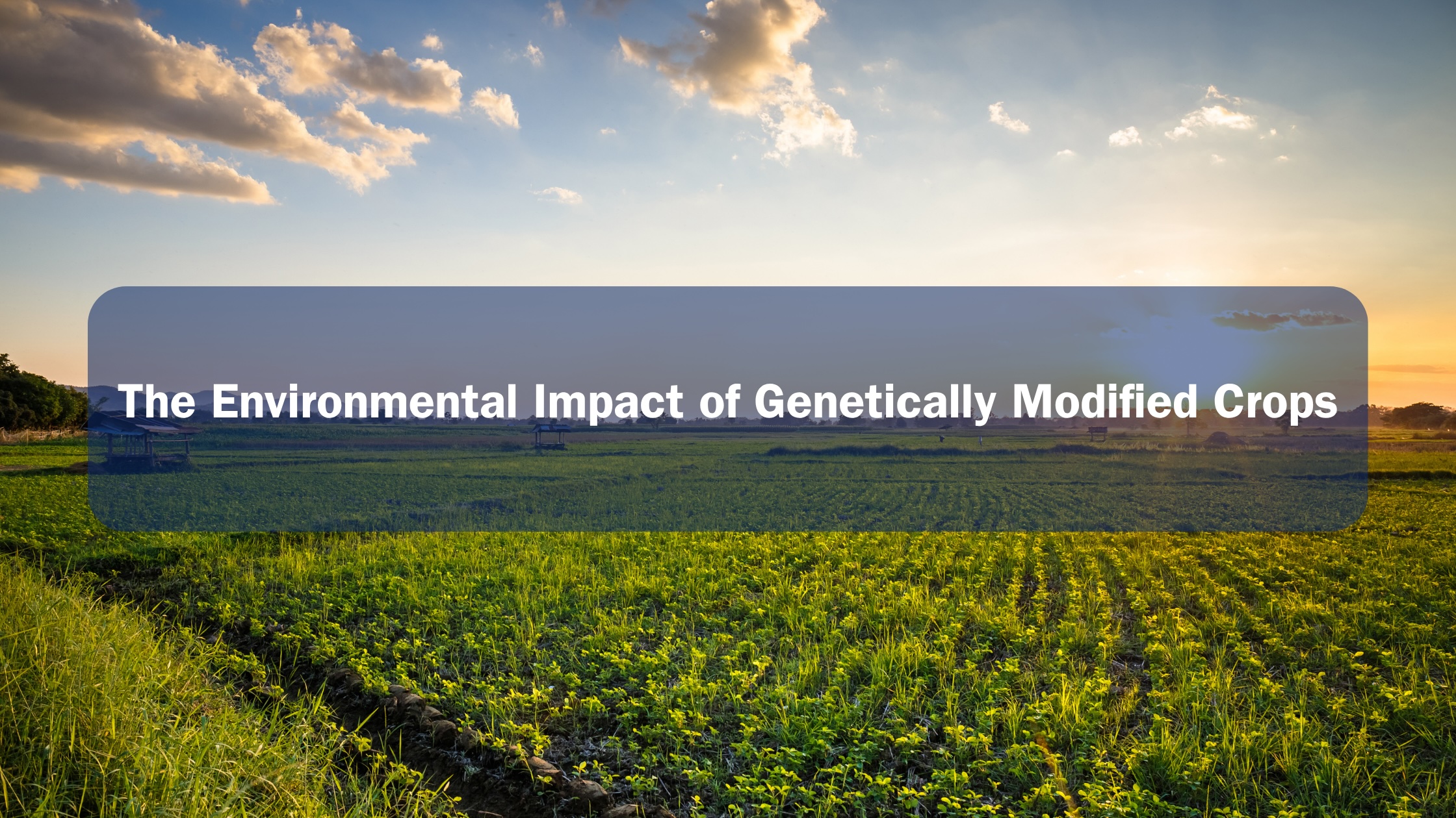 environmental impact farm