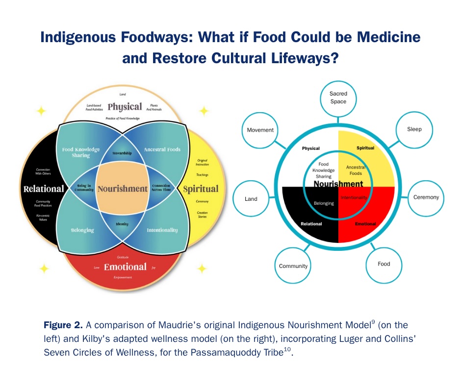 comparison of Maudrie's and Kilby's models of Indigenous Nourishment