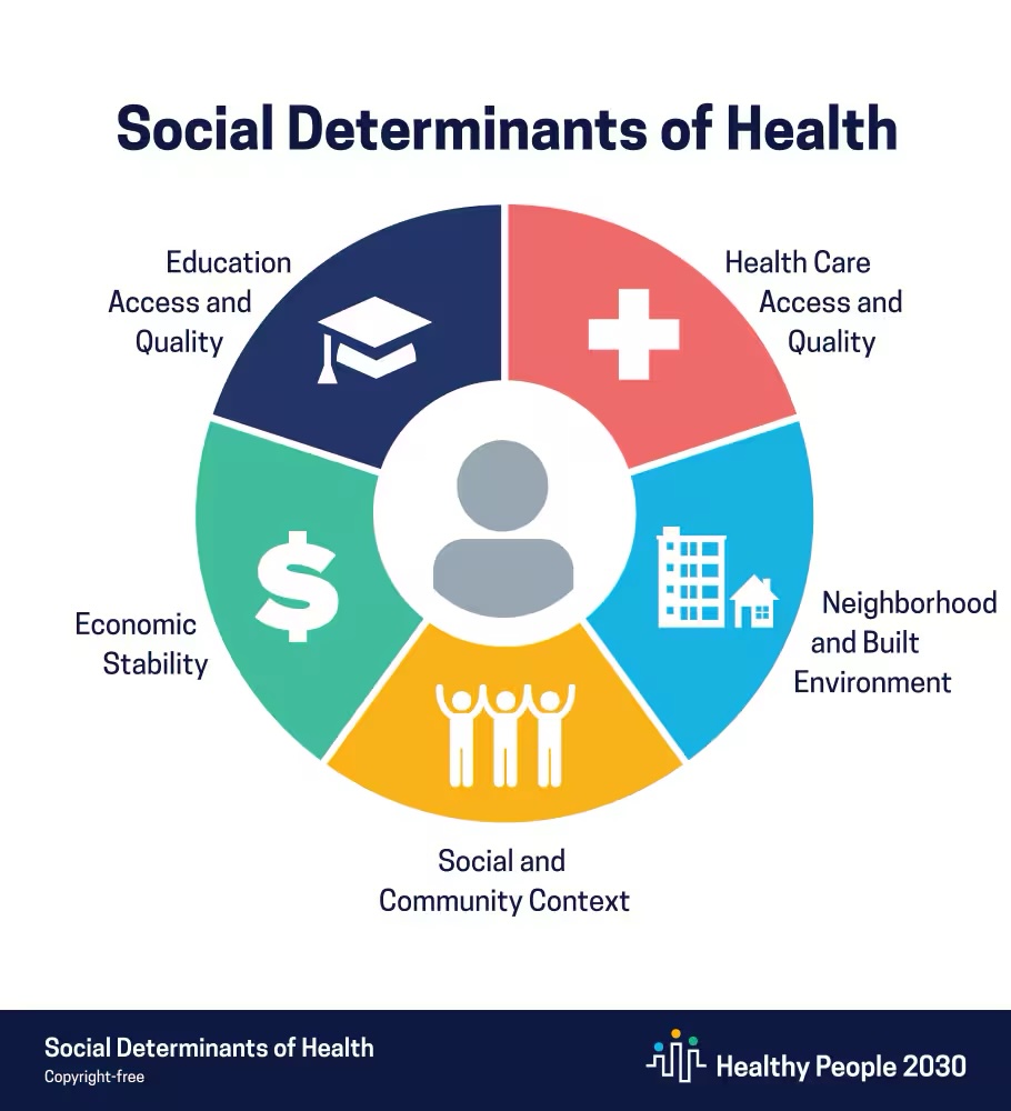 social determinants of health chart