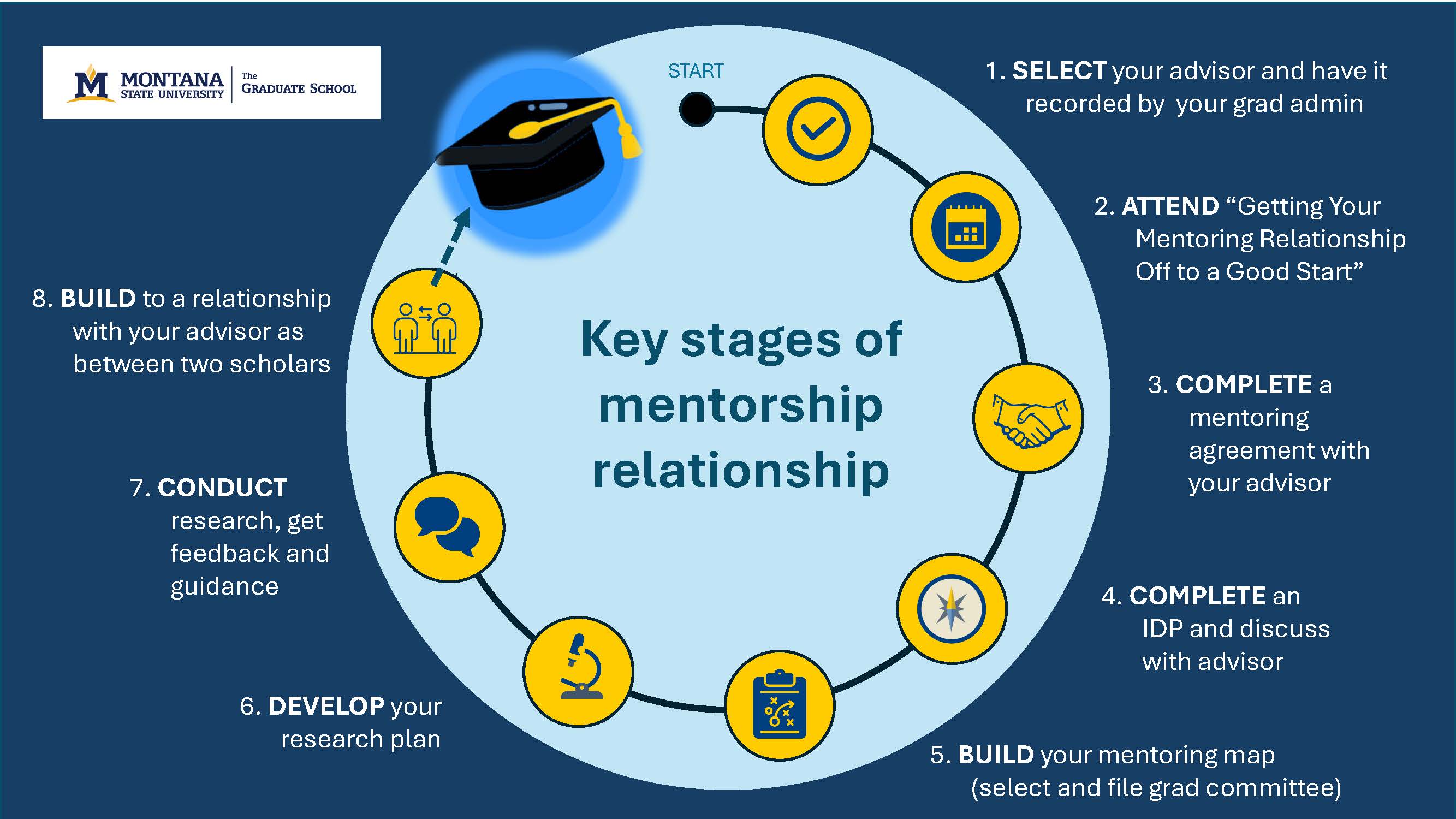 An image showing a sequence of steps in the mentoring relationship on a blue background