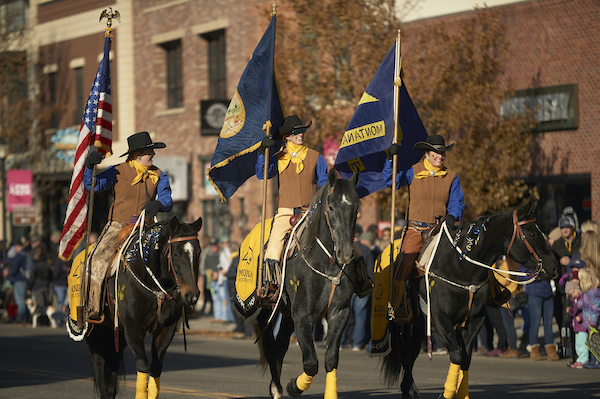 horses in parade