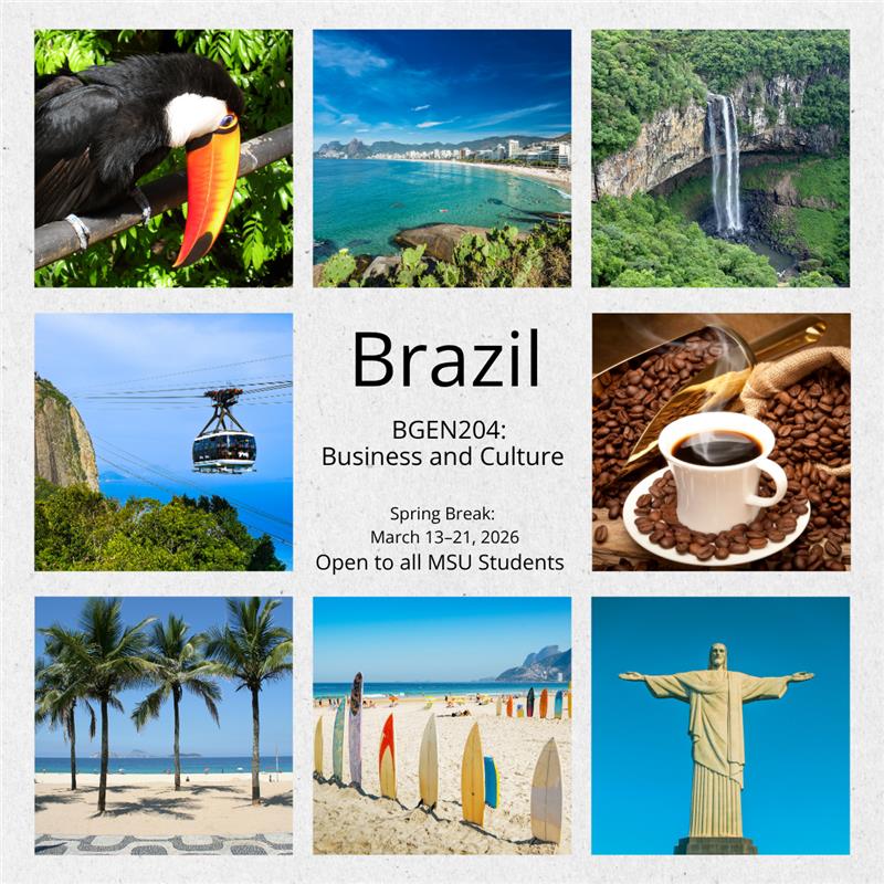 Brazil Faculty-Led Study Abroad Program Brazil Faculty-Led Study Abroad