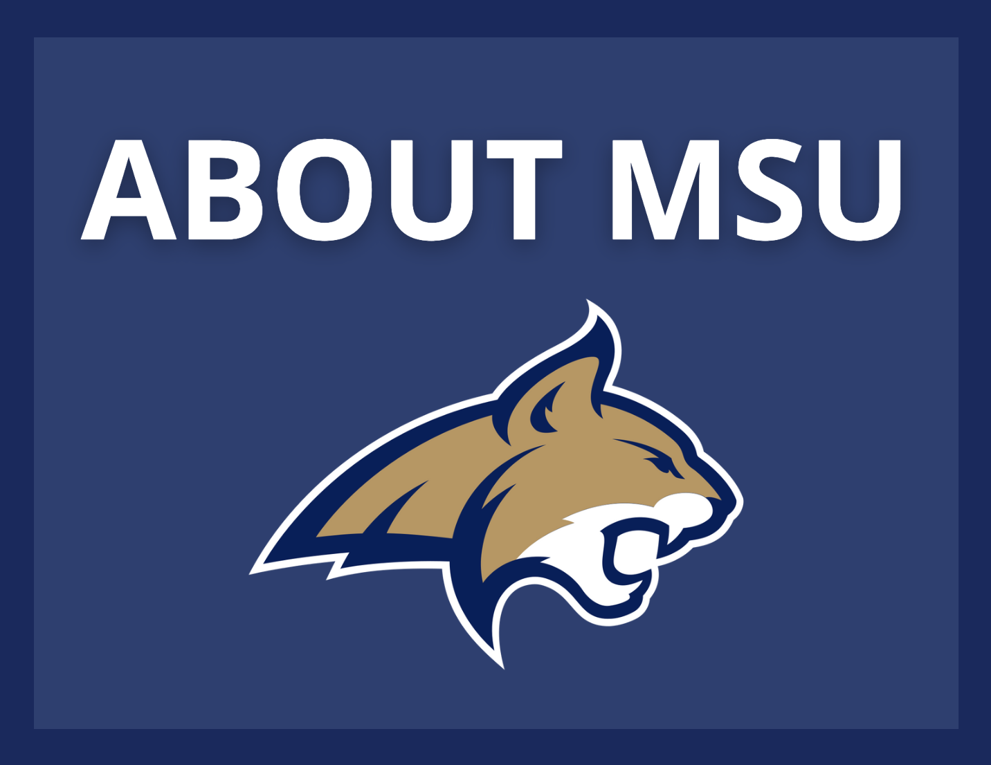 AboutMSU
