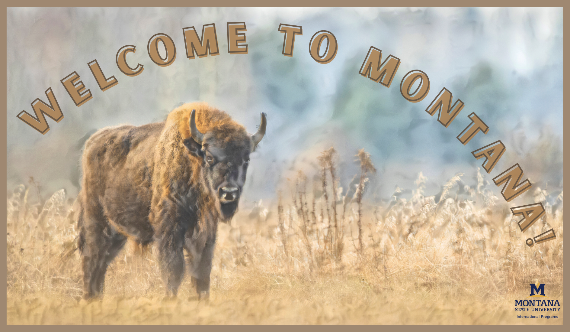 Welcome to Montana!