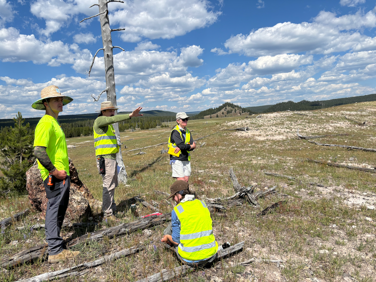A group of people wearing high-vis shirts looking at a grassland
