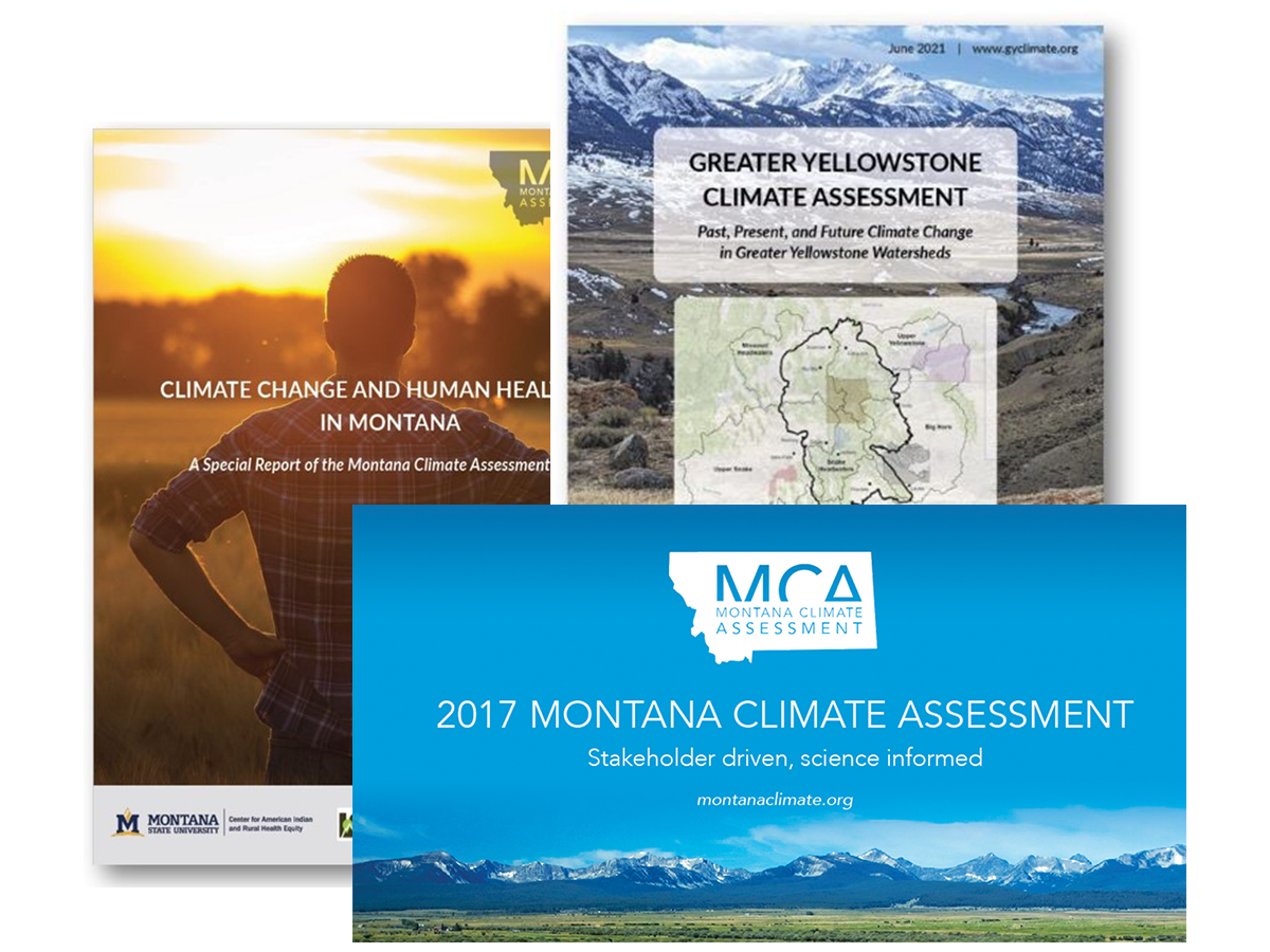 Three covers of different Montana report documents