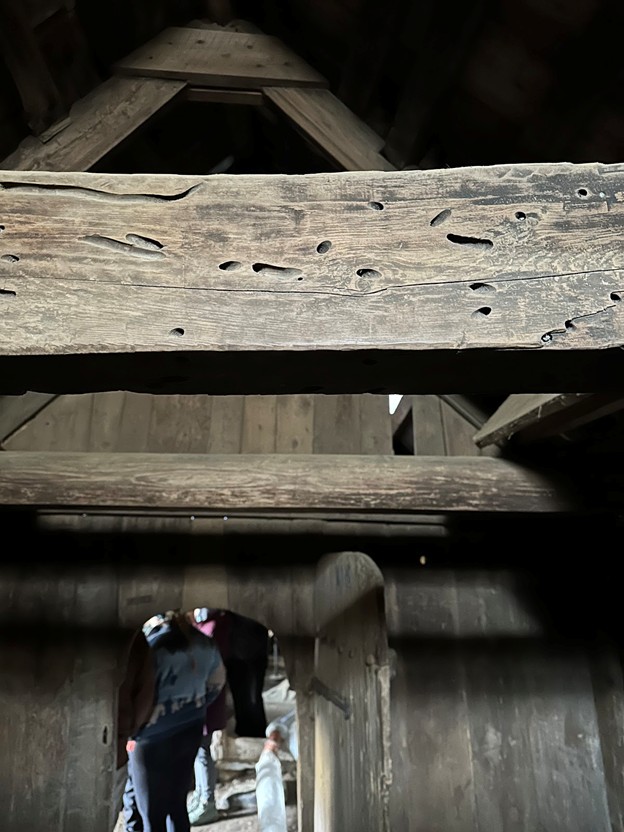 More items from beach timber