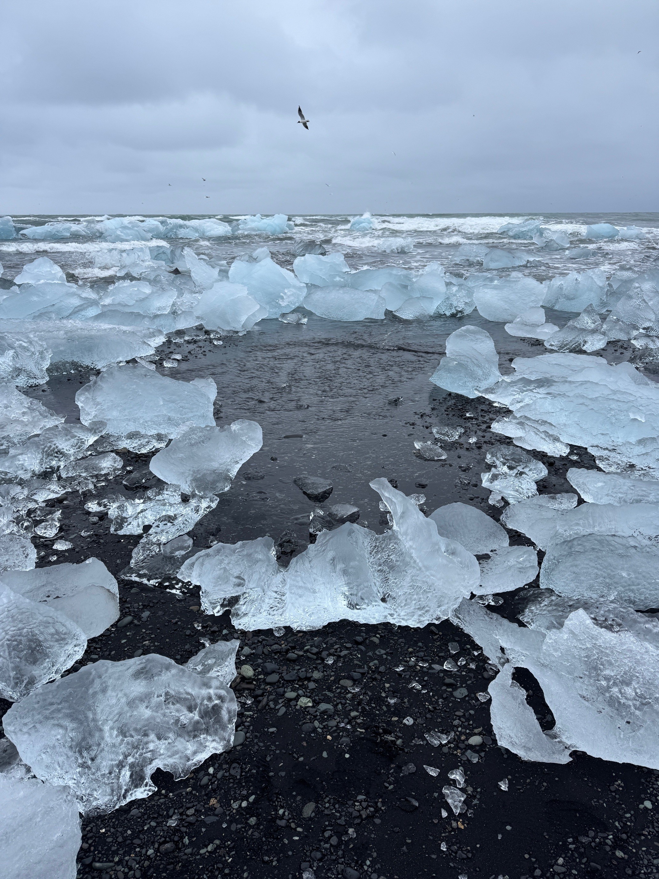 Ice on black sand beach
