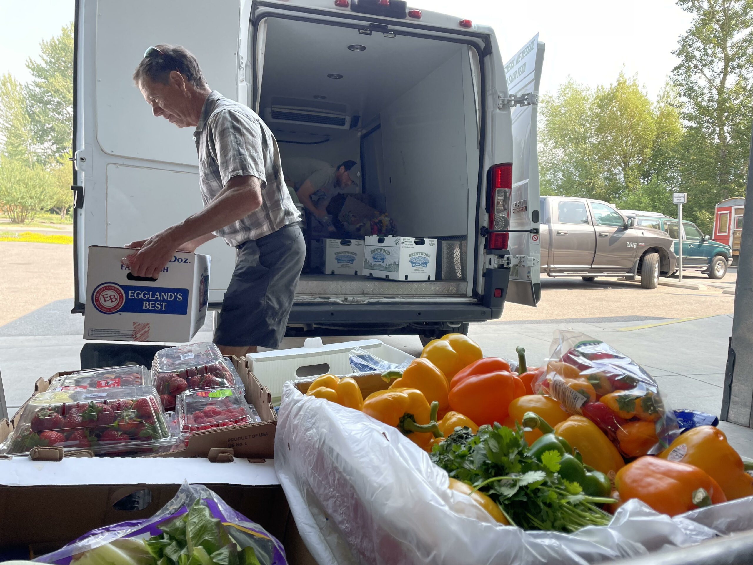 Put Image Description Here