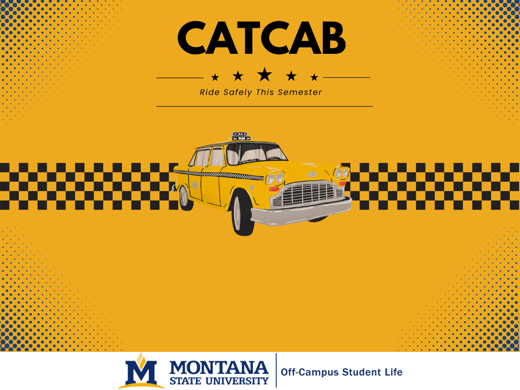 CatCab Poster Square