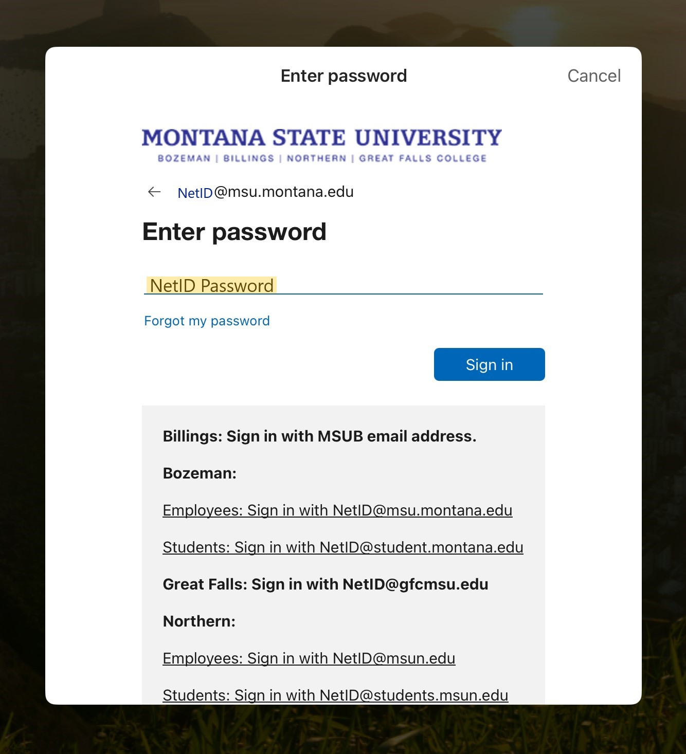 MSU password redirect page from office.com login.