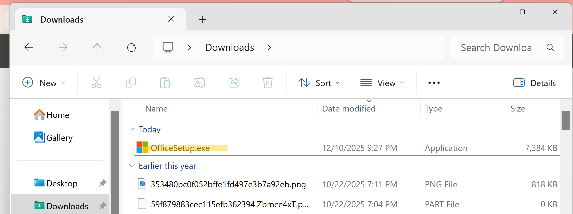 File explorer's downloads page