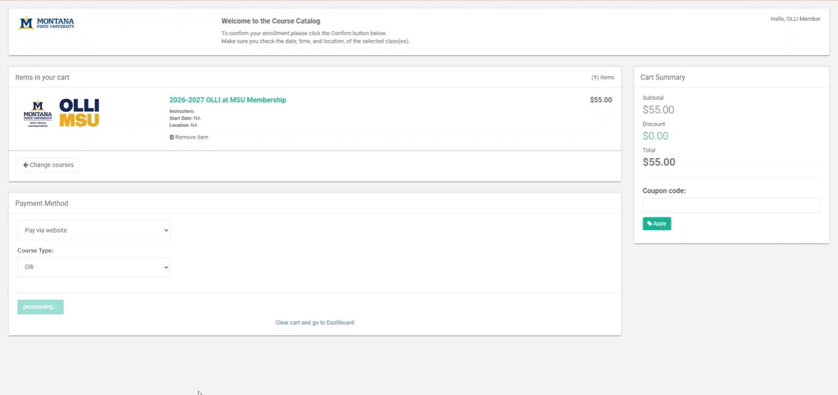 Cart payment area showing payment method choices including Pay via website