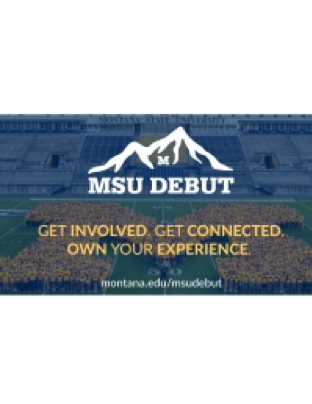 msu debut logo