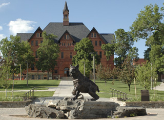 A statue of a bobcat with trees and a brick building in the background