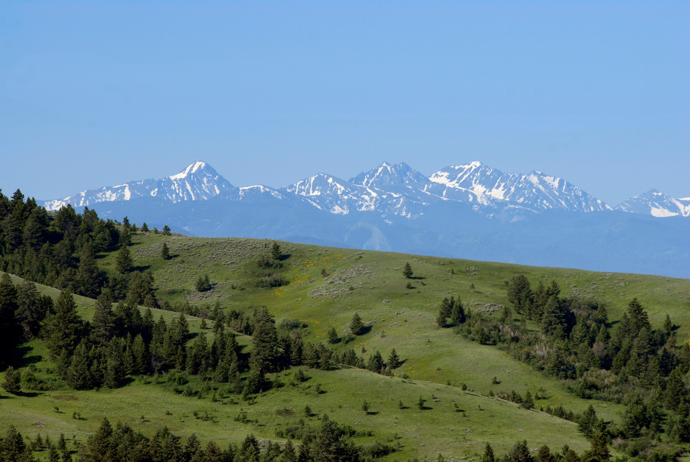 foothills with snowy Bridgers in background