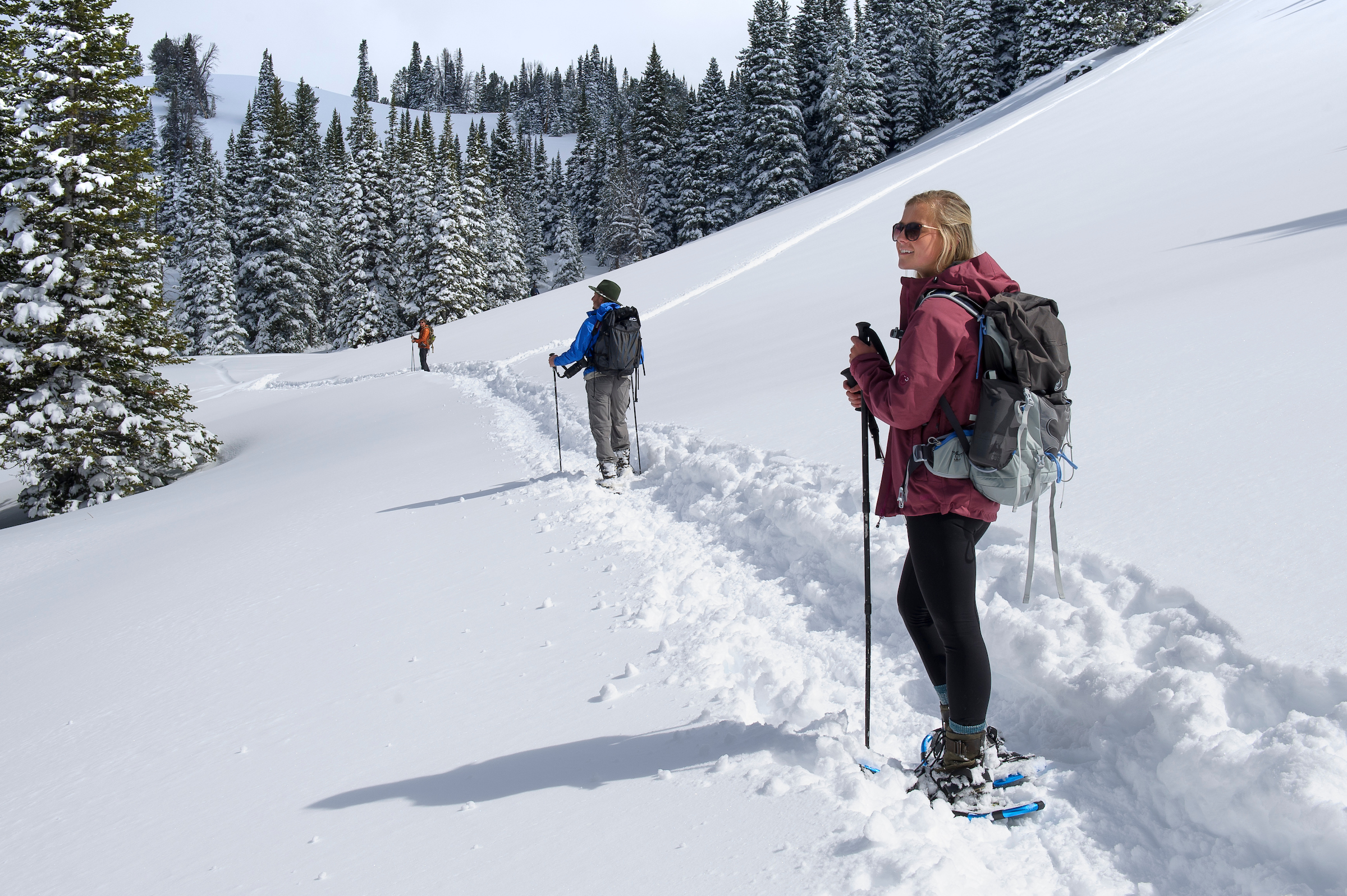 Several people snowshoe on a trail