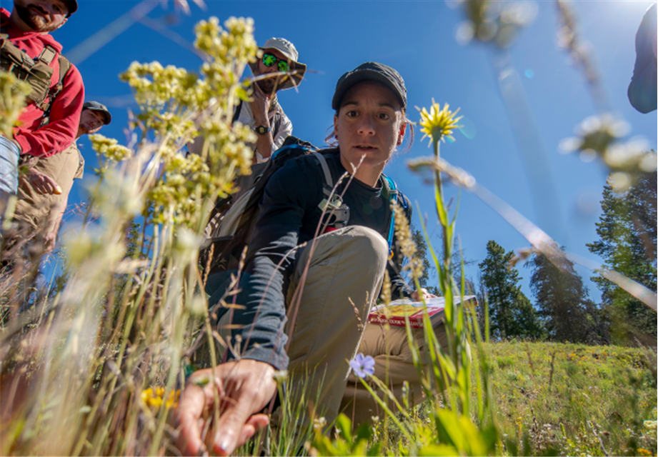 person with wildflowers