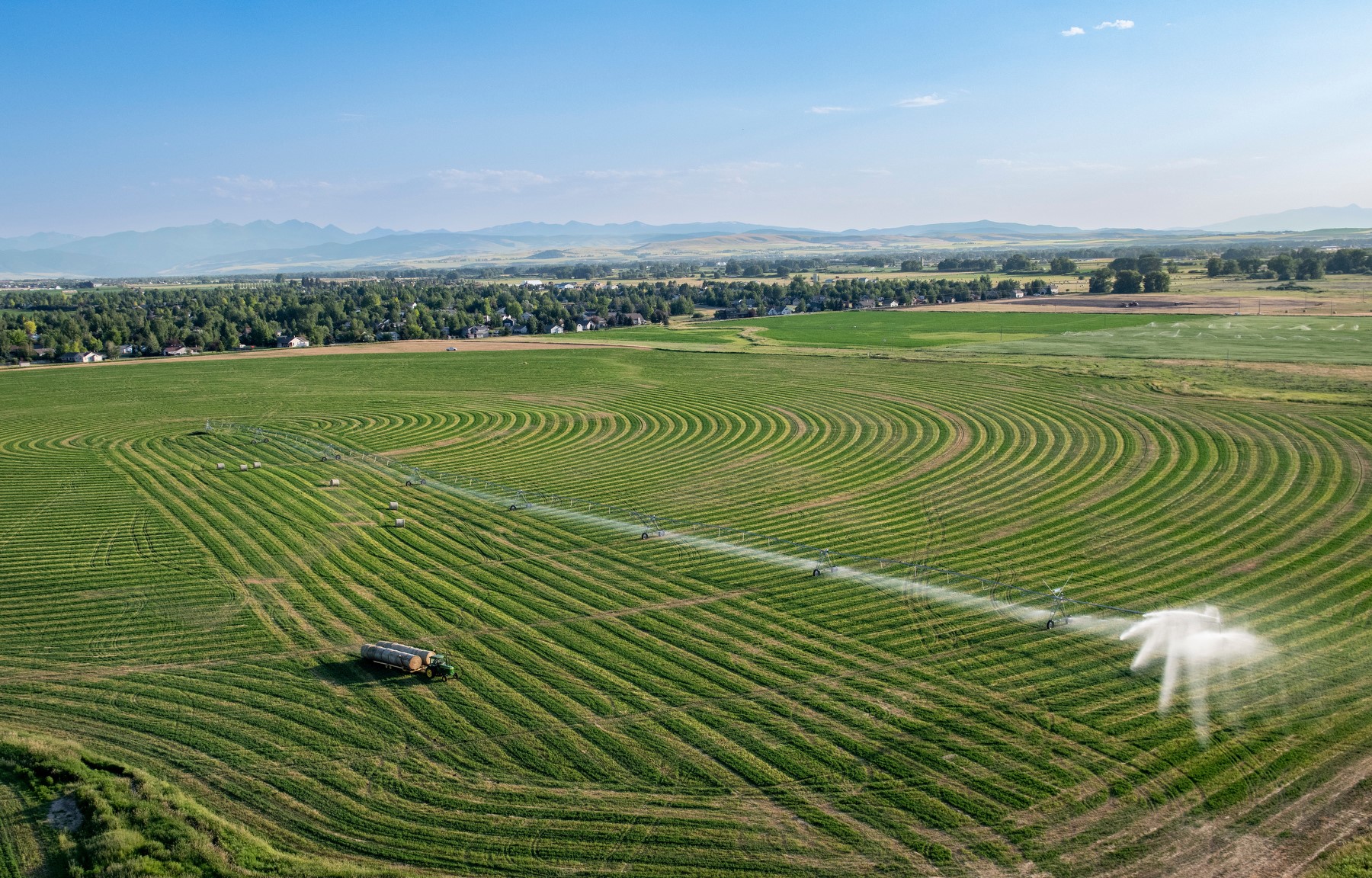 green agricultural field