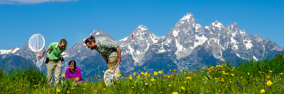 students working on field research near grand teton