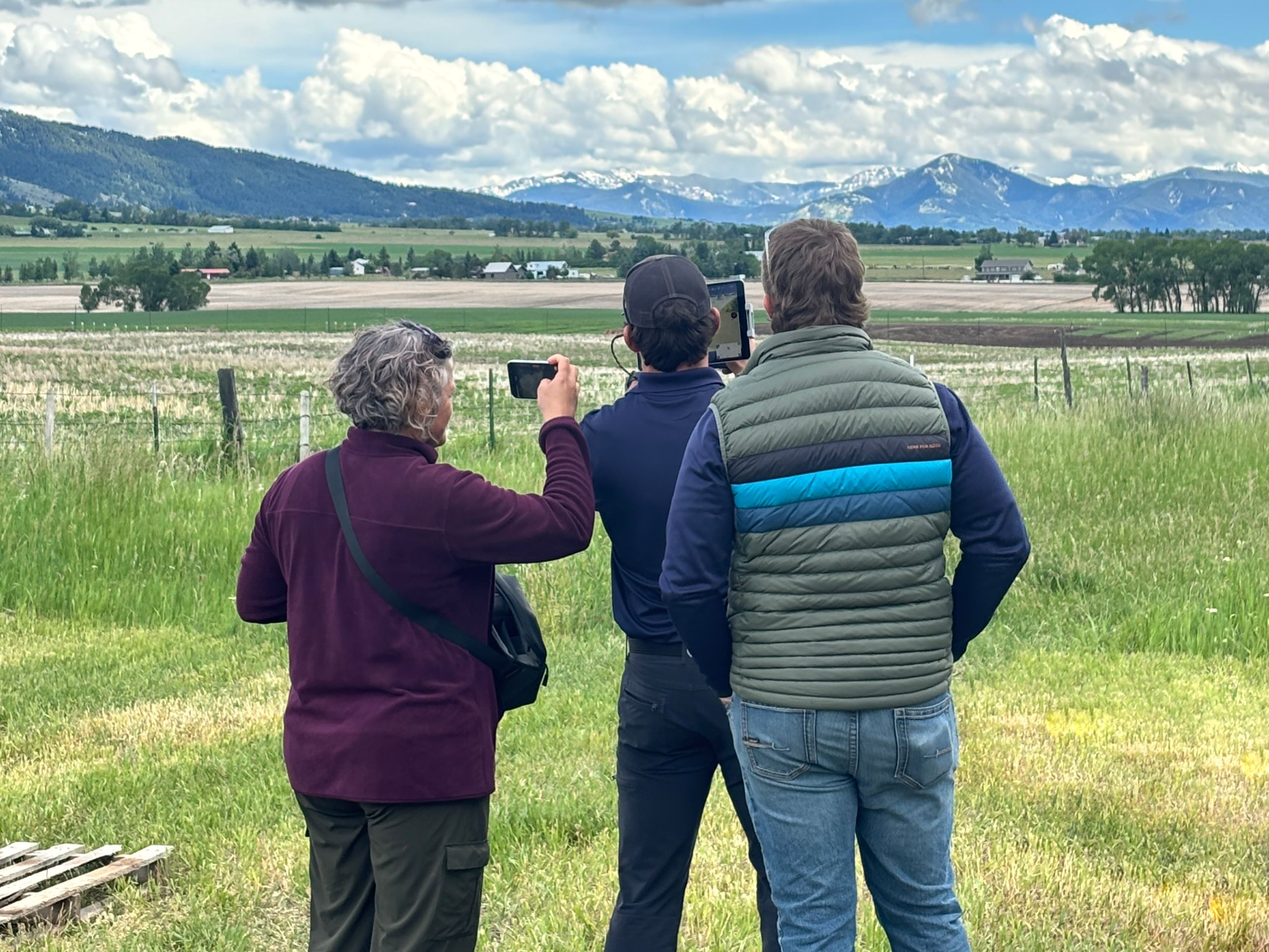 Put Image Description Here