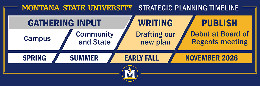Graphic breakdown of timeline showing that gathering input for the strategic plan will be in the spring and summer for students, faculty, staff and community members. In the fall of 2026 the planning team will put together a plan and publish it in November.