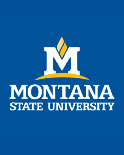 Montana State University text on a blue background