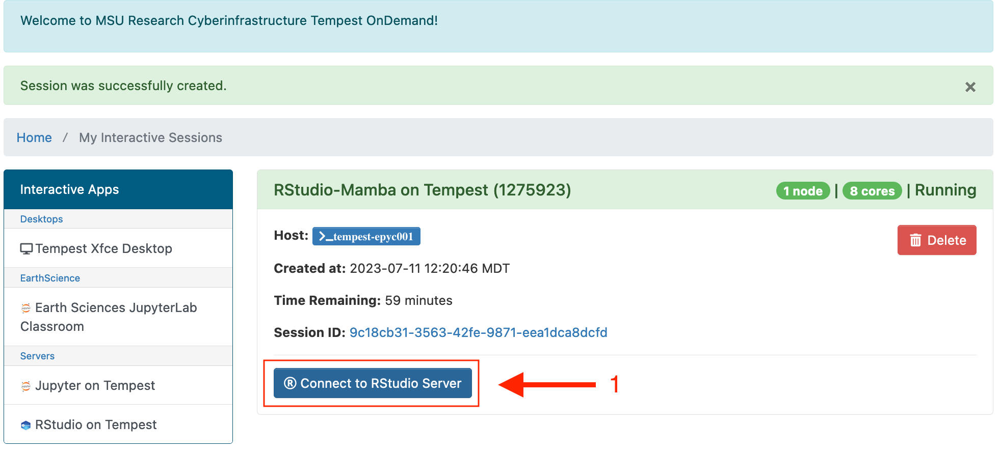 Connect to custom R RStudio session