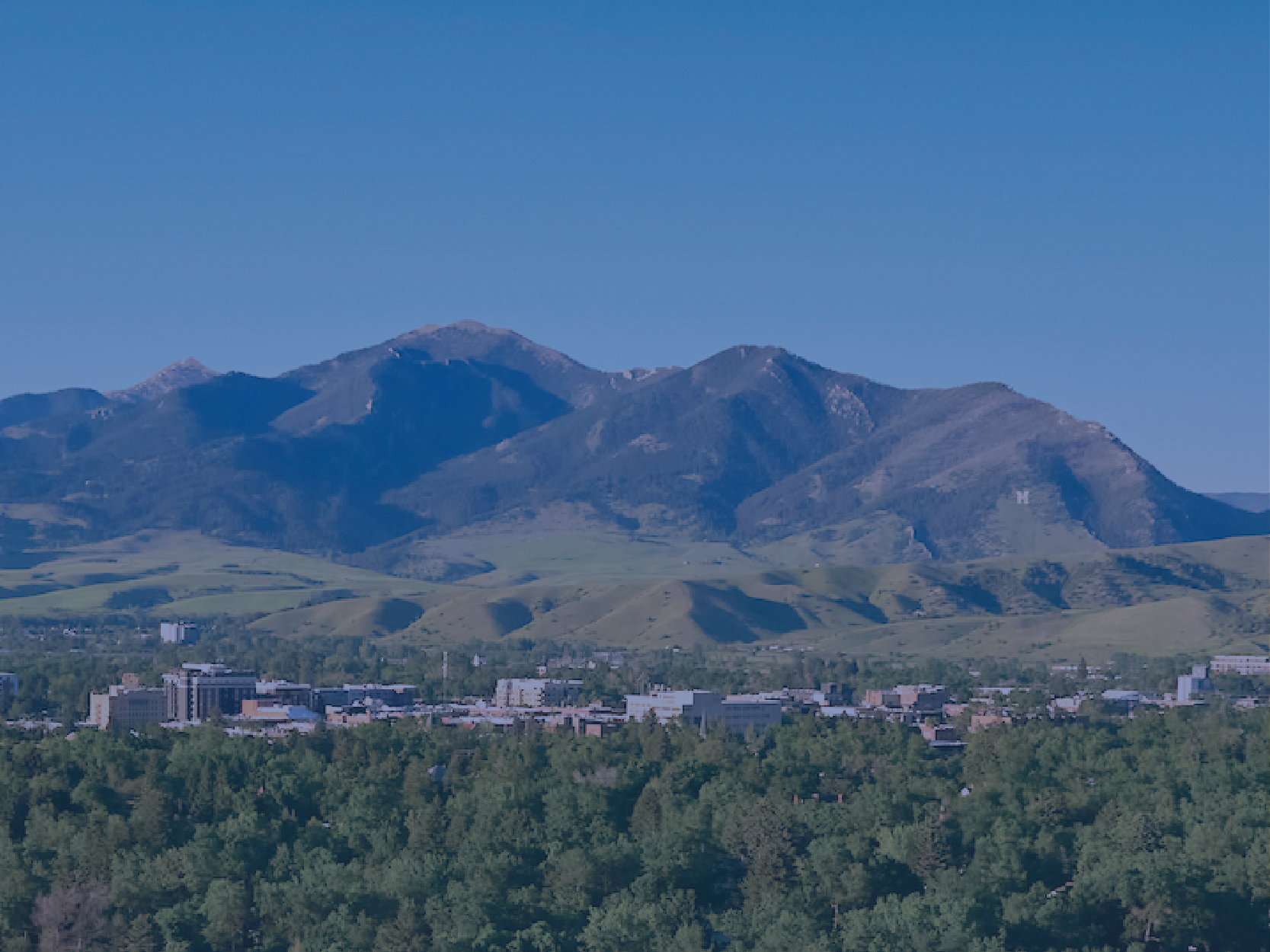 Off Campus Providers